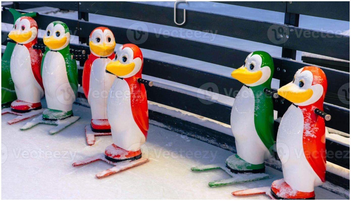 noleggio-pinguini-per-pattinare-su-piste-di-pattinaggio-su-ghiaccio